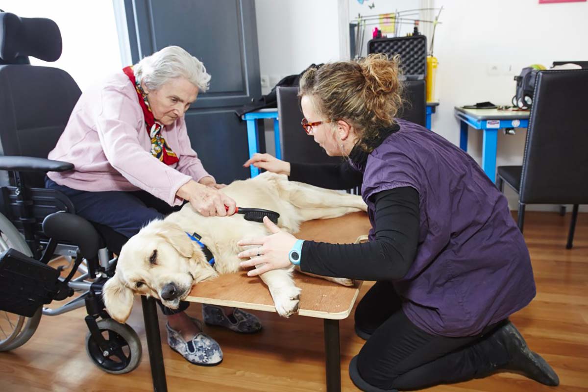 Séance de thérapie assistée par l'animal avec l'organisme Umanima Formation organisme certifié