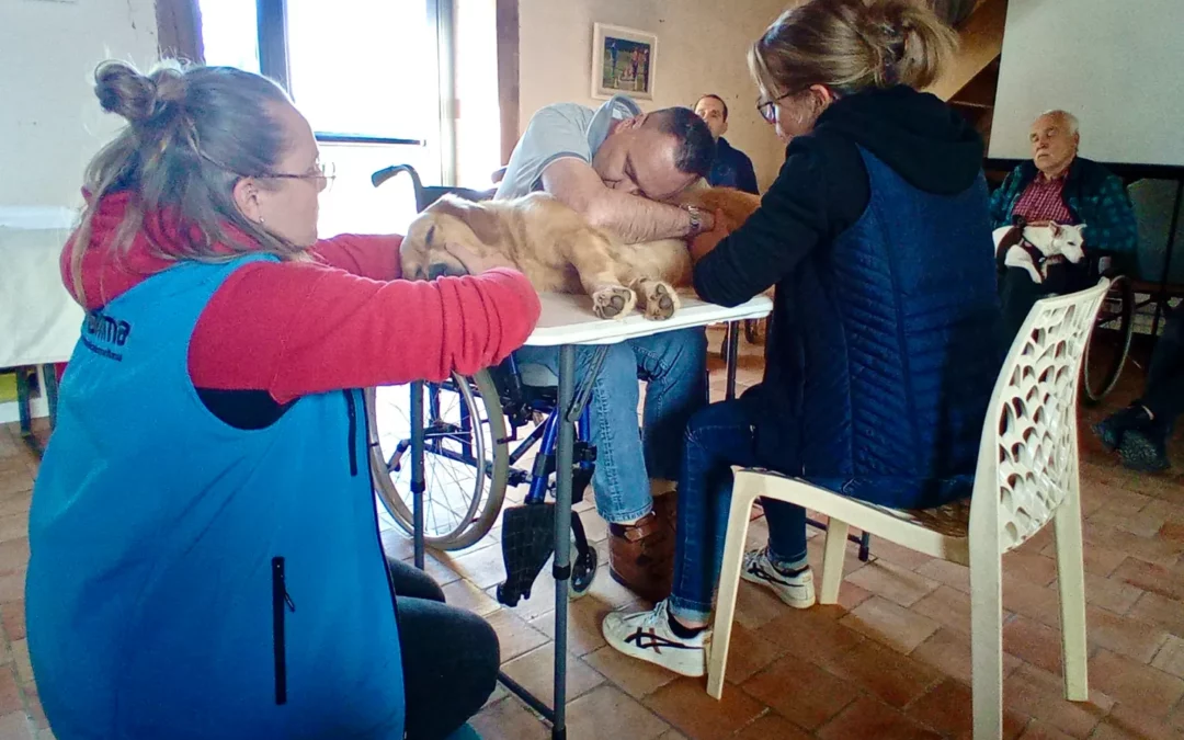 Thérapie Assistée par l'Animal se former de façon professionnelle avec Umanima Formation organisme Certifié