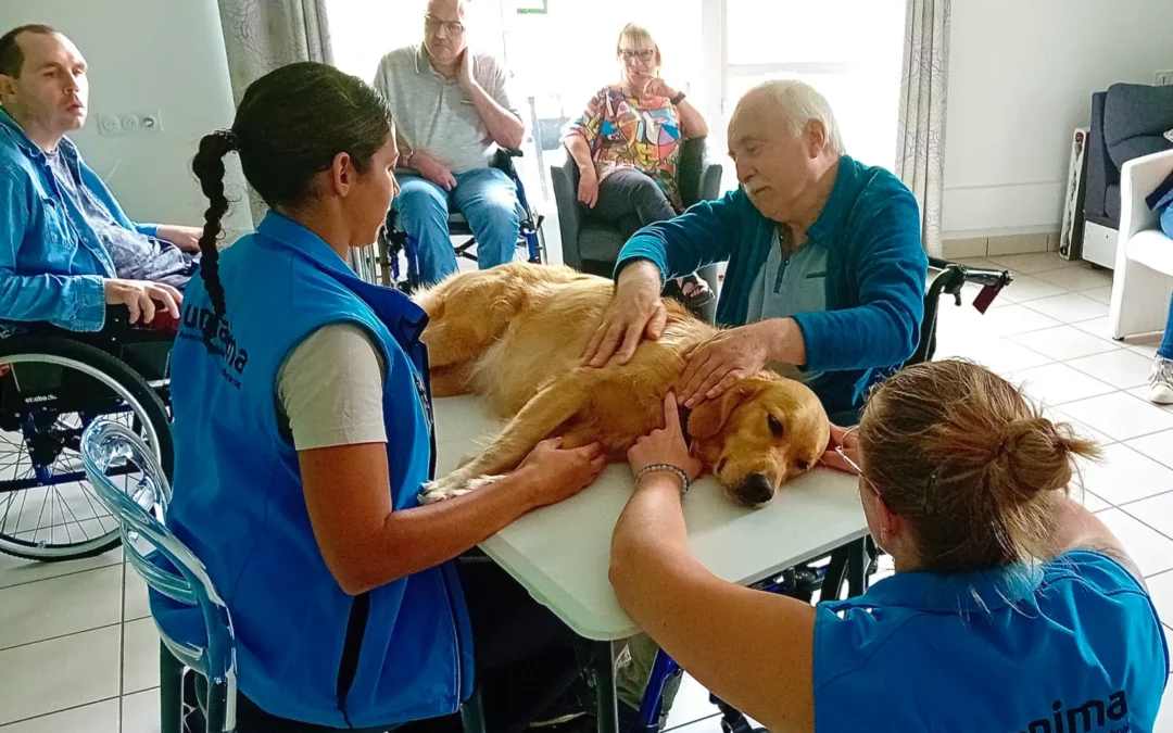 Umanima Formation spécialiste de la formation par l'animal présent au salon autonomic de Rennes