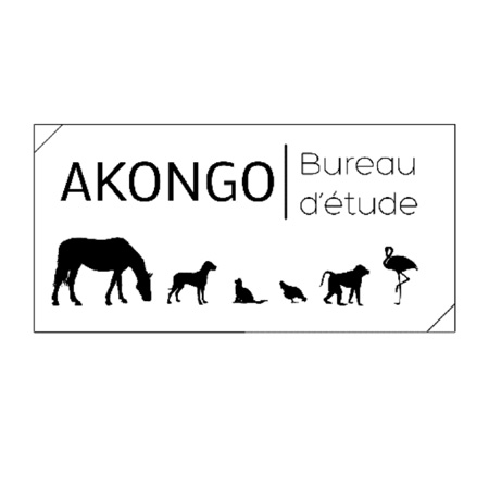 Akong o Bureau d'étude, partenaire d'Umanima Formation