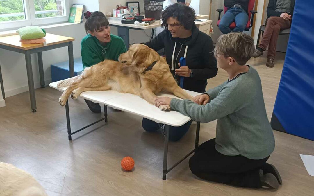 Découvrez l&rsquo;association Umanima Peï 974 – Spécialiste de la Médiation Par l&rsquo;Animal sur l&rsquo;île de la Réunion