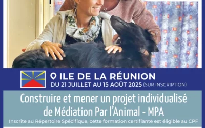 En 2026, formez-vous à la Médiation par l’Animal sur l’île de la Réunion !