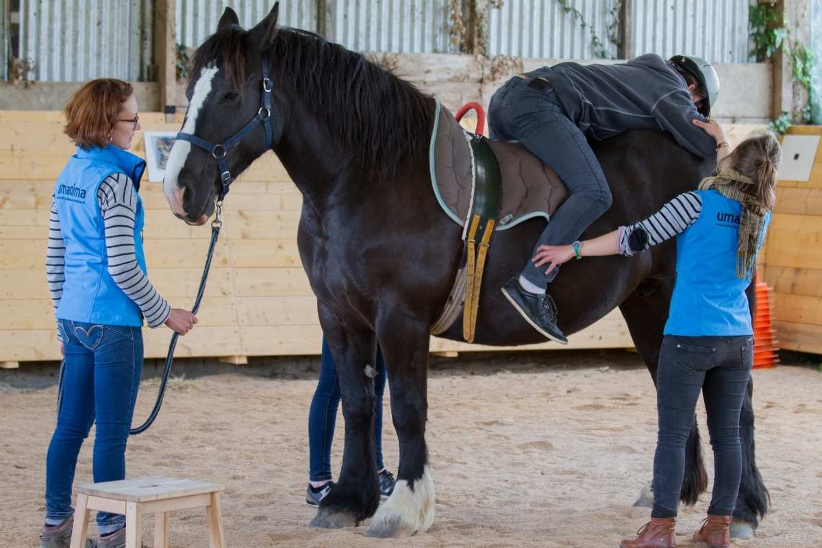 Equithérapie par Umanima Formation, séance de thérapie assistée par l'animal
