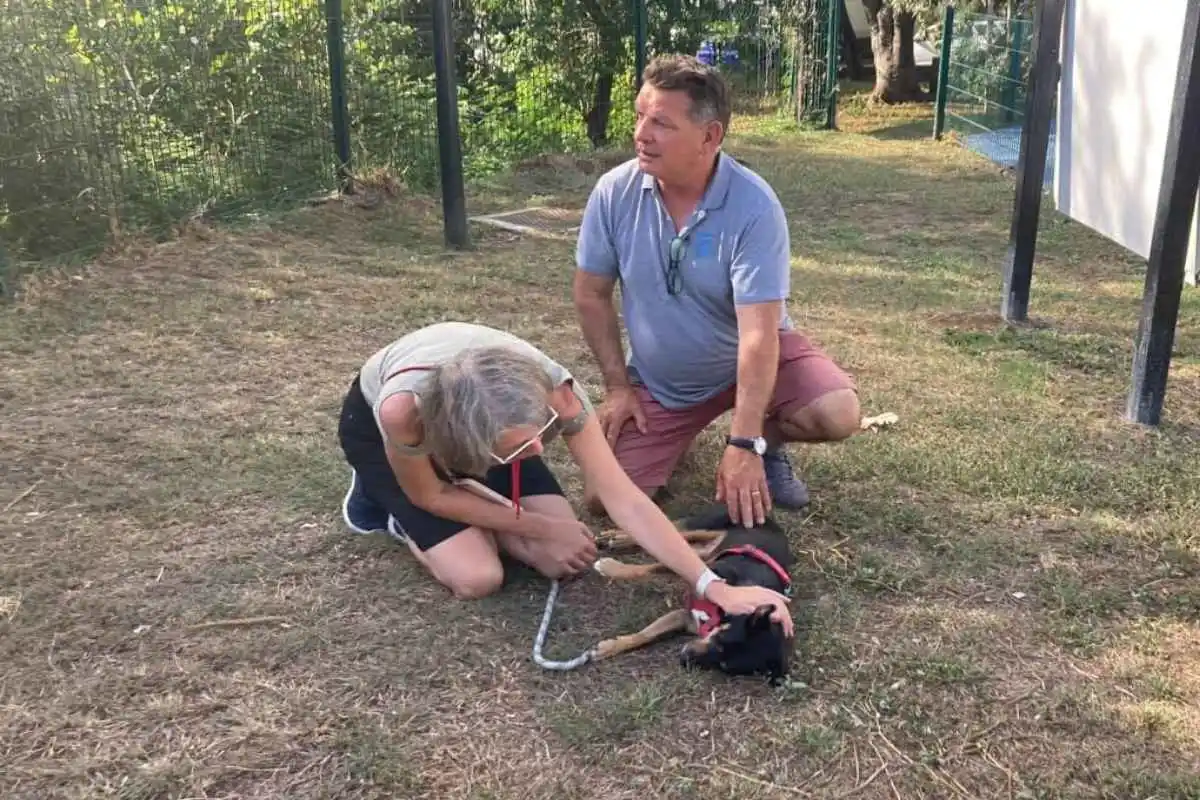Formation "Prendre soin et coopérer avec un animal" sur l'île de la Réunion avec Emmanuel Doumalin, formateur Umanima Formation
