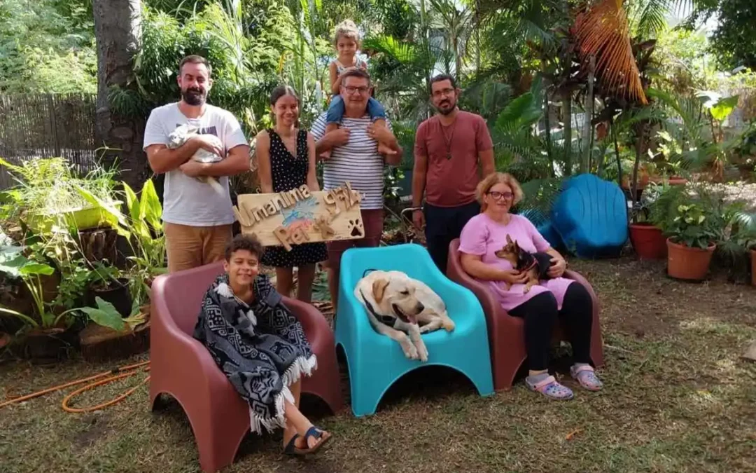 Umanima Formation - Formation à la Médiaiton Par l'Animal sur l'île de la Réunion