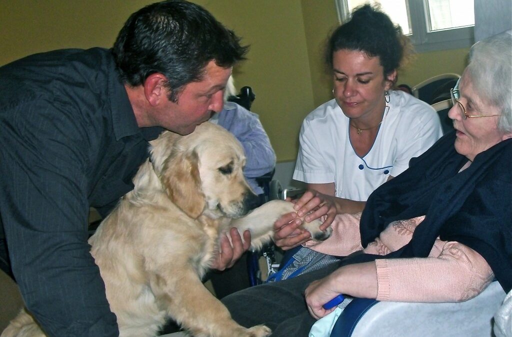 Umanima Formation pour devenir intervenant en médiation par l'animal