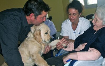 Se former à la Médiation Par l’Animal : quel parcours selon votre métier ou votre projet ?